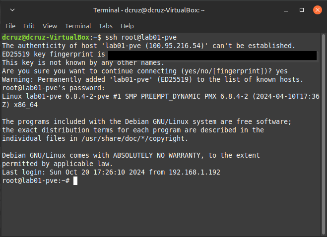 TailScale terminal