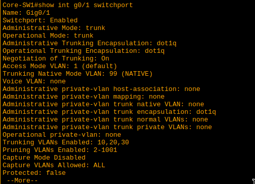 Show Interface Switchport Output
