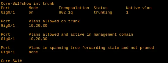 Show Interface Trunk Output